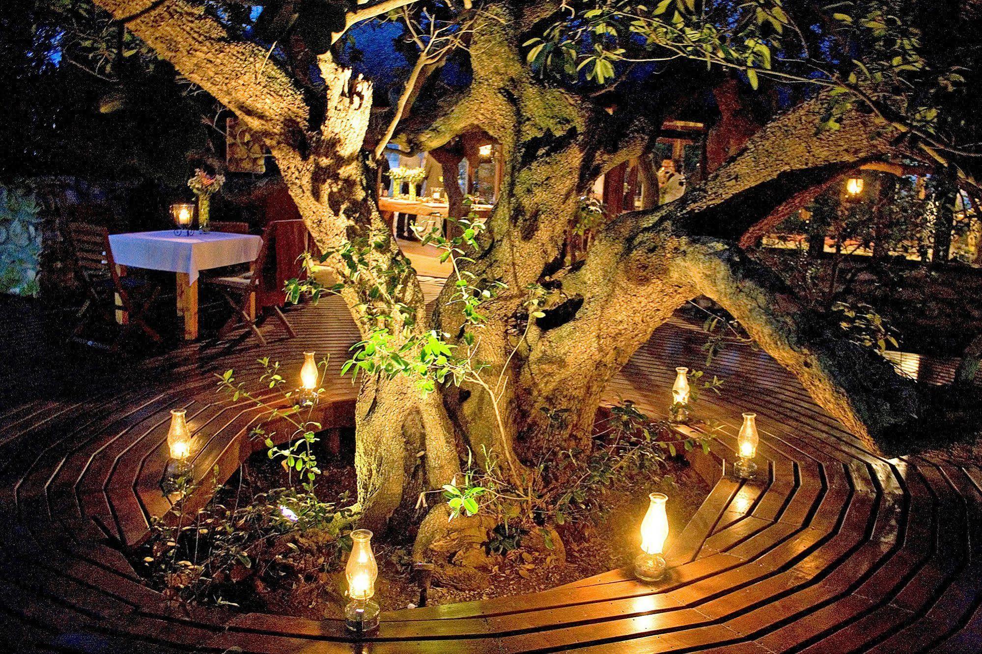 Mosaic Lagoon Lodge Stanford Exteriér fotografie